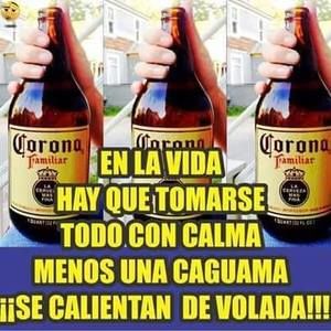 Meet your Posher, Fredy